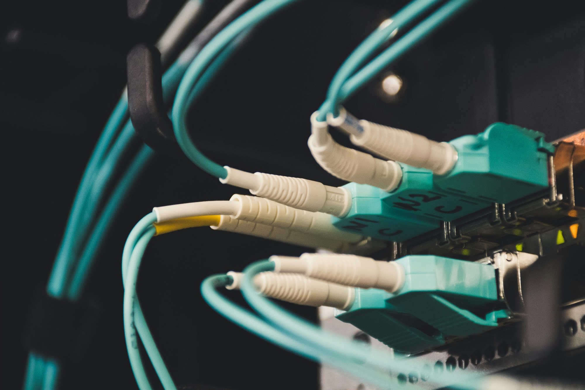 Ethernet cables plugged to a router illustrating the concept of connectivity